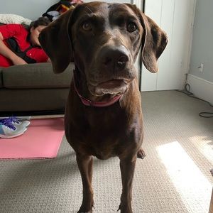 Meet your Posher, Sarah